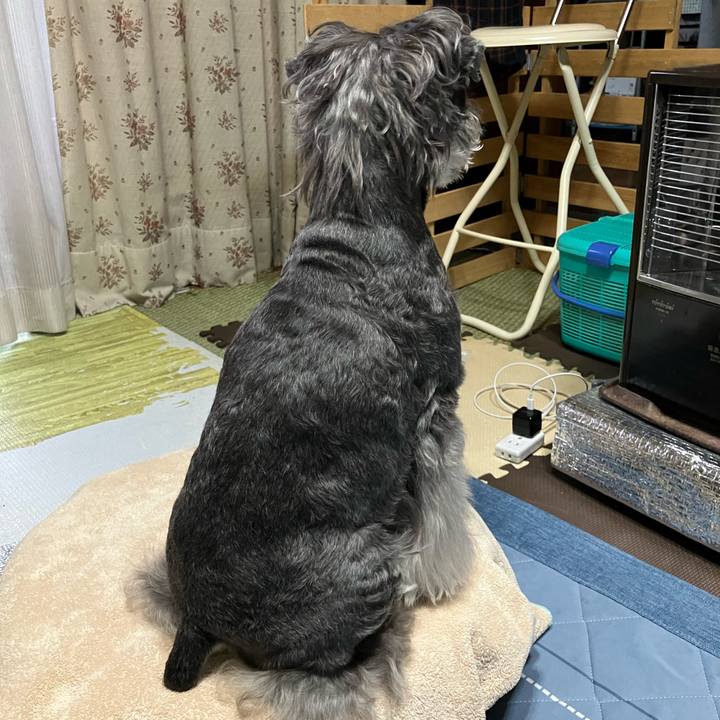 30aeba18 3b88 45ad a79a 6b9722b9428b 1747492546149