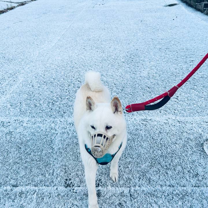 30aefb0a f7be 445f 9919 ed237b959083 1731880611950