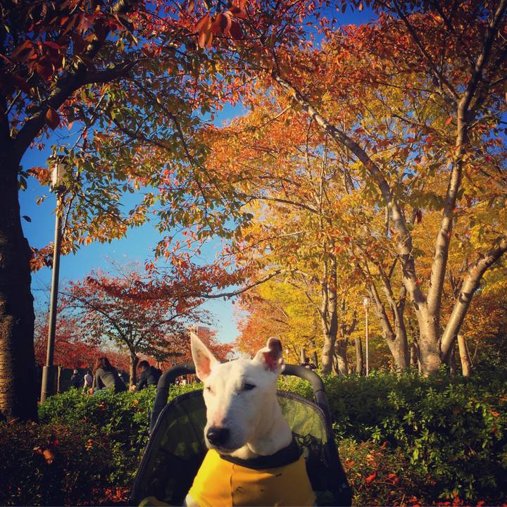 30aefbaf 211f 4250 ac93 6bed711ad723 1543042793593