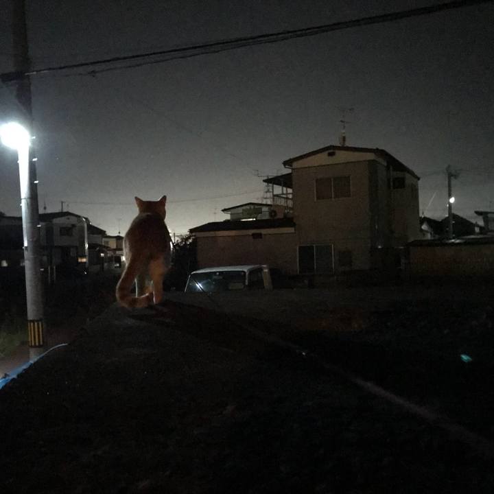 30af08fa fa54 47a5 8d4f 174e2186fb09 1509970415558