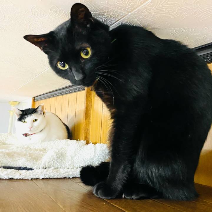 30af34dd 3583 48db b000 97dd4e98f7d0 1678831819284