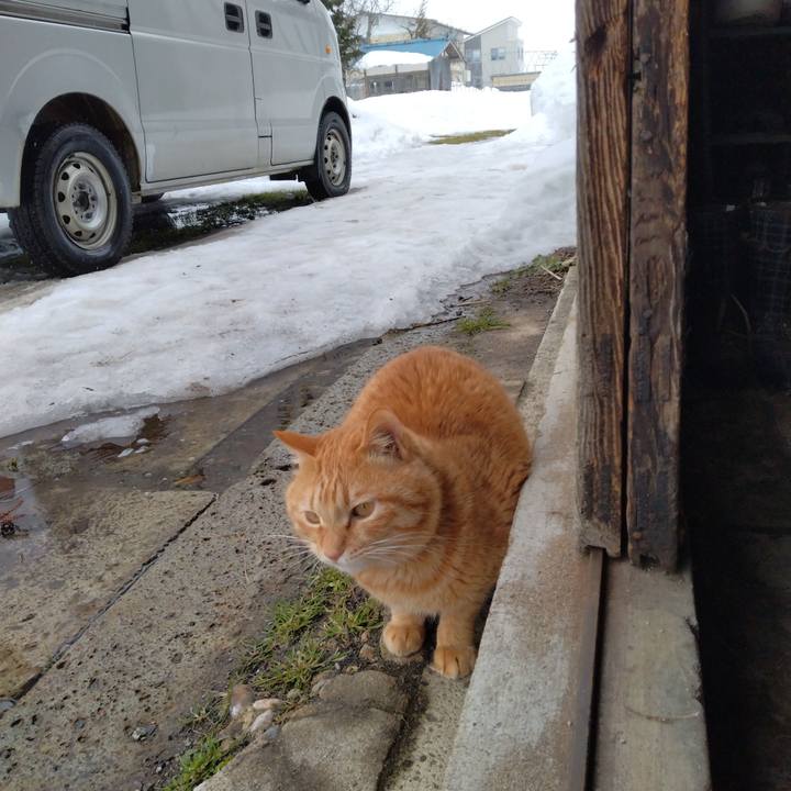 30af4807 6ceb 44a0 8982 01d3dfb9a94d 1676256148638