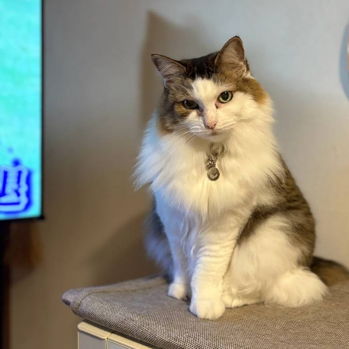 30af4a57 2751 48b2 a659 65a3f1044ebd 1759659310054