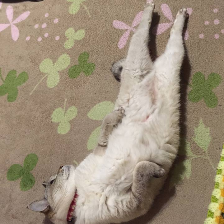 30af5809 35f7 494a bd7e 3a95e0a1edfd 1551349838885