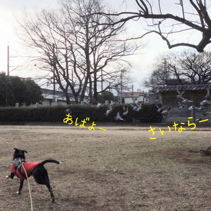 30af8648 65e0 4da9 93ad 403b262159ec 1645666249419