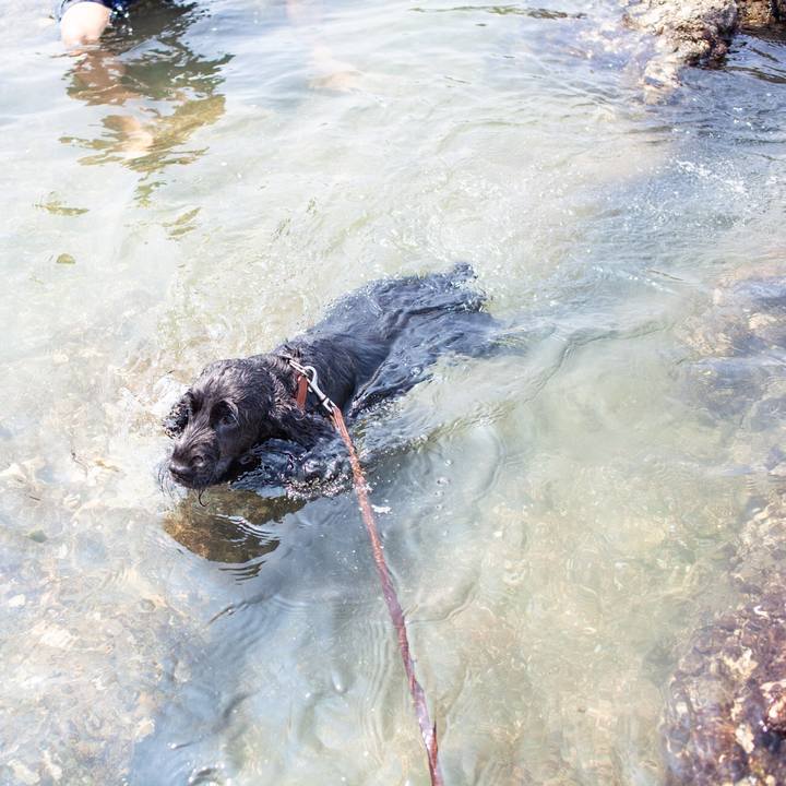 30af9068 913f 4b8f 95bc cfef1c5e1fc3 1564493161138