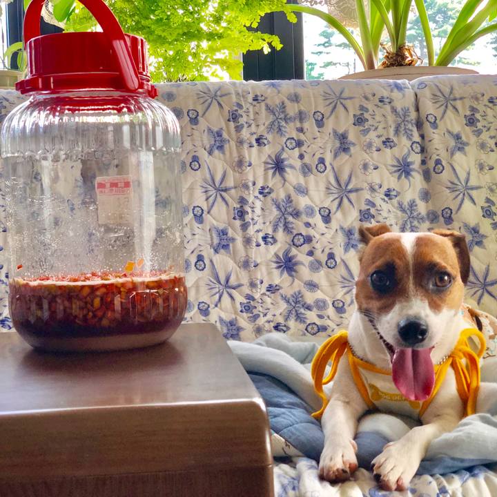 30af94e5 b6e9 43a8 91b3 4bf357ce549c 1564710240479