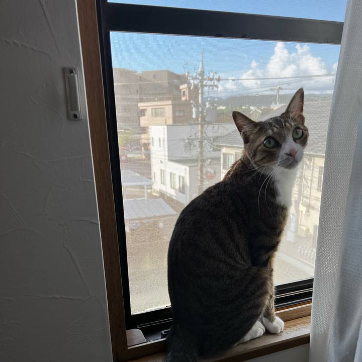 30af9dd7 d877 49cc bc03 48335538181f 1754604143812