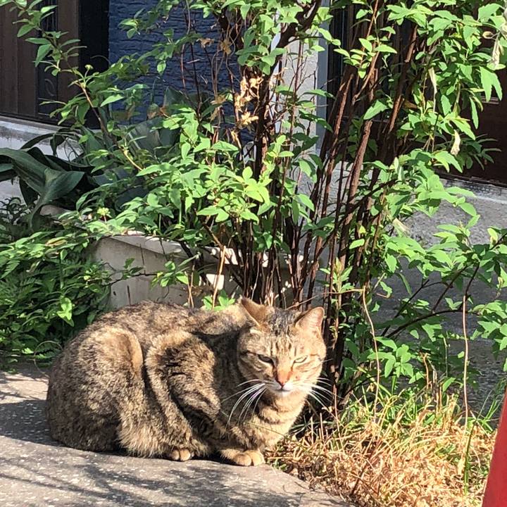 30aff853 6241 4081 aba4 483c261fc615 1522830650125