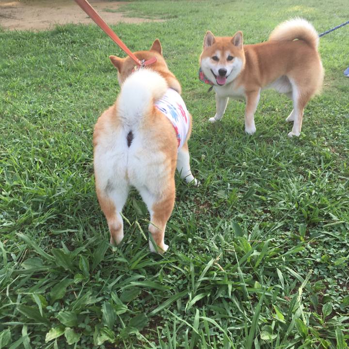 30b00bf7 8789 49d3 9b17 63af1df69951 1566081413025