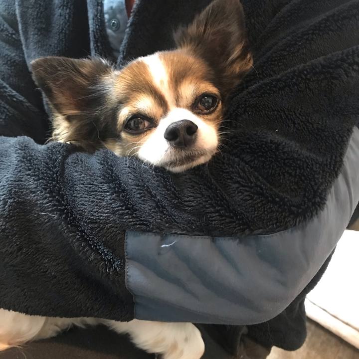 30b03830 8de9 49b7 934e d3243c813028 1669204148606