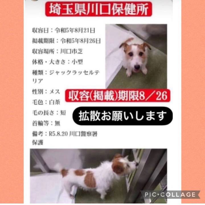 30b04456 ebb8 44ce aa1b 55903b9a526a 1692745060472