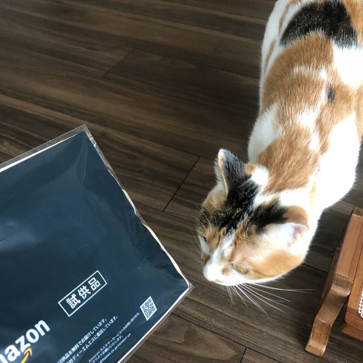 30b04fd1 ee17 4093 a4df 3c3f1b7c3541 1605326360724