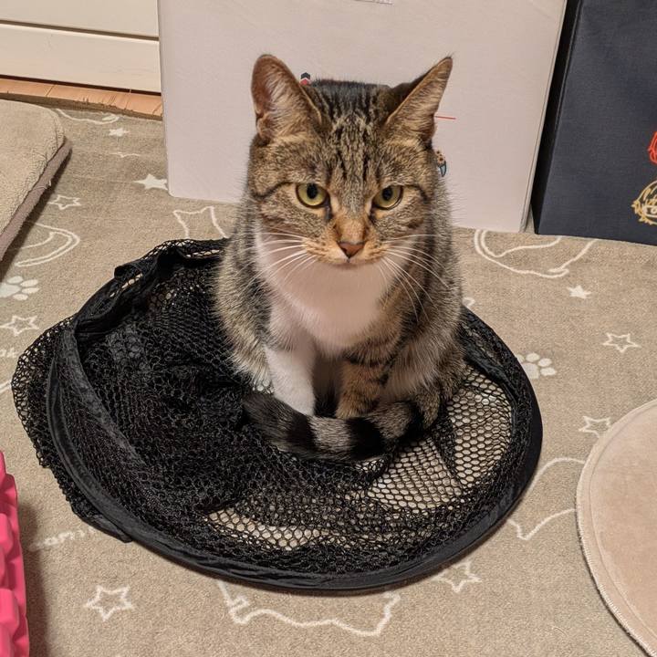 30b07eda 6e81 45df 9b4b ef4acfa6a7ba 1737191597389