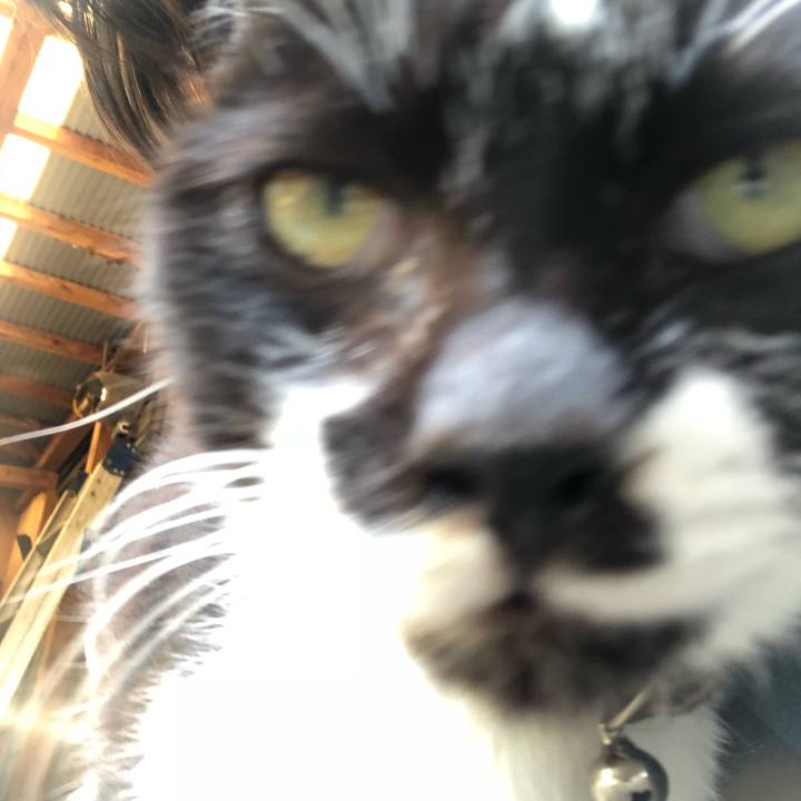 30b08487 d2a5 438d 8974 a48161cabe7e 1524209005385