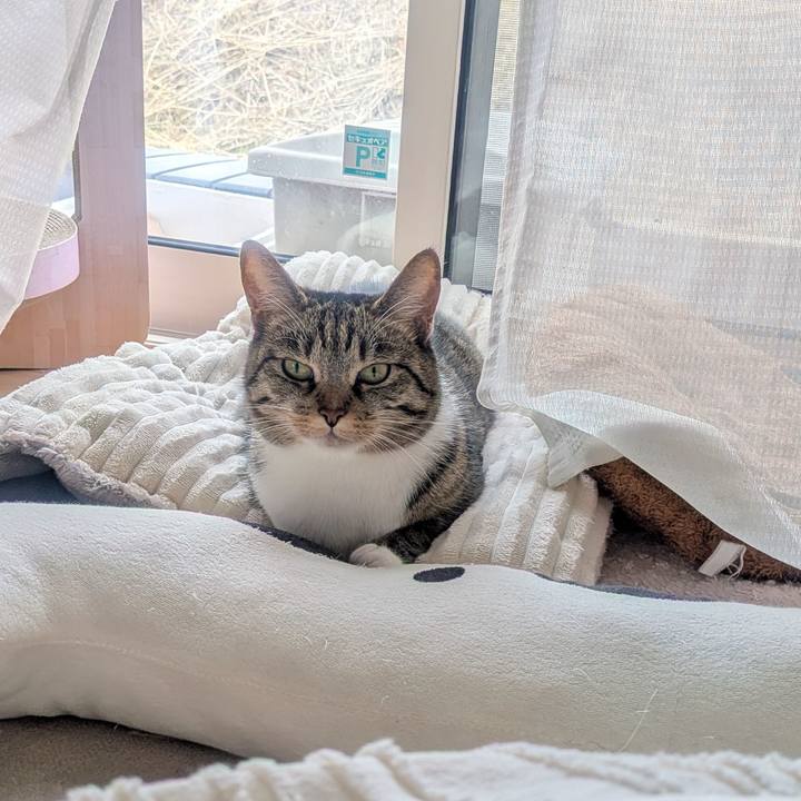 30b095b0 ac07 4fa5 a755 457825648163 1772849675241