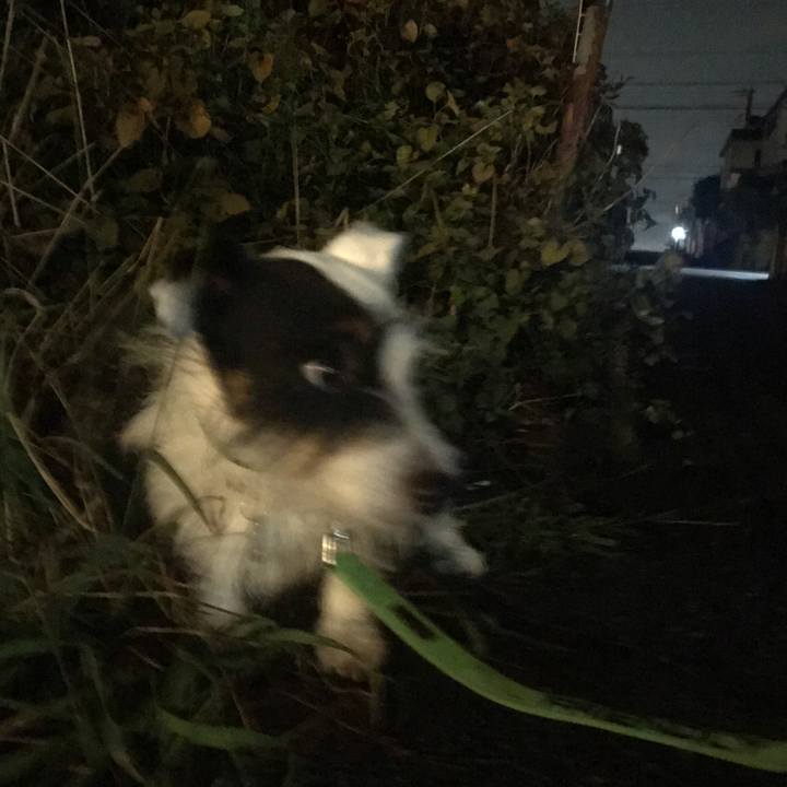 30b0e093 b988 4138 8aab 2b9a37f02359 1537539342413