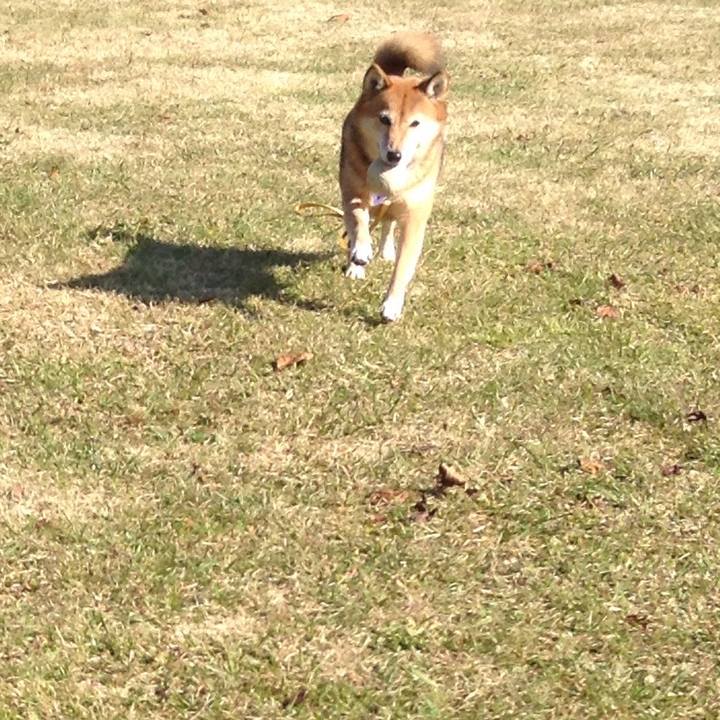 30b0ecd3 78c0 48fb b1f2 4a7a408e5d31 1511824436563