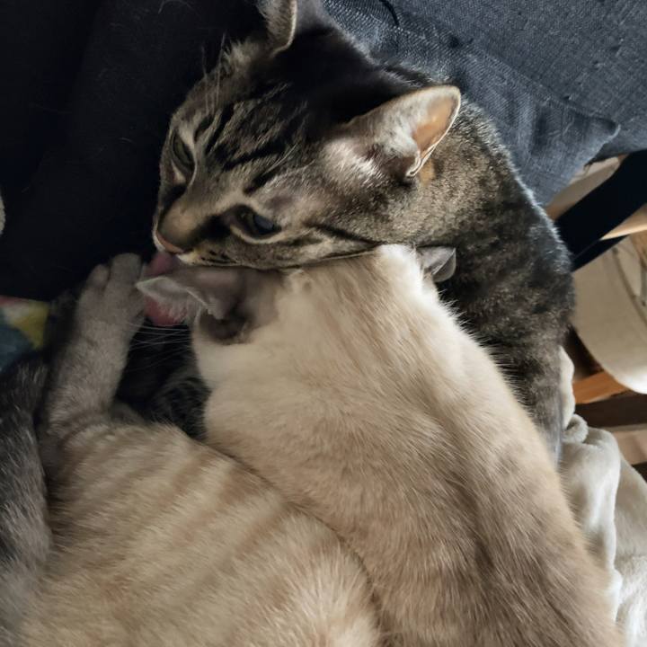 30b0f7da 5f86 44d0 bbf2 b82ae8b0645c 1610410118292