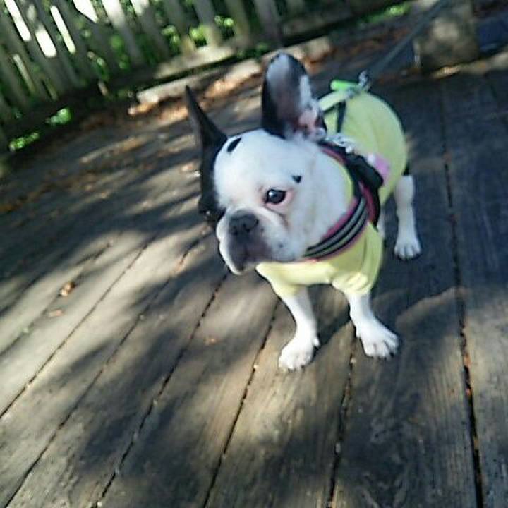 30b1101d dd3e 4398 87d5 05eeffc7aa9e 1540097280733