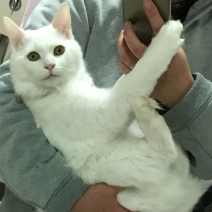 30b11dfc d0bc 486d a71e dd1d508fe78b 1519644053417