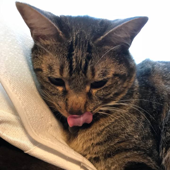 30b13f84 ee3d 449a a455 274b986154cb 1537570334211