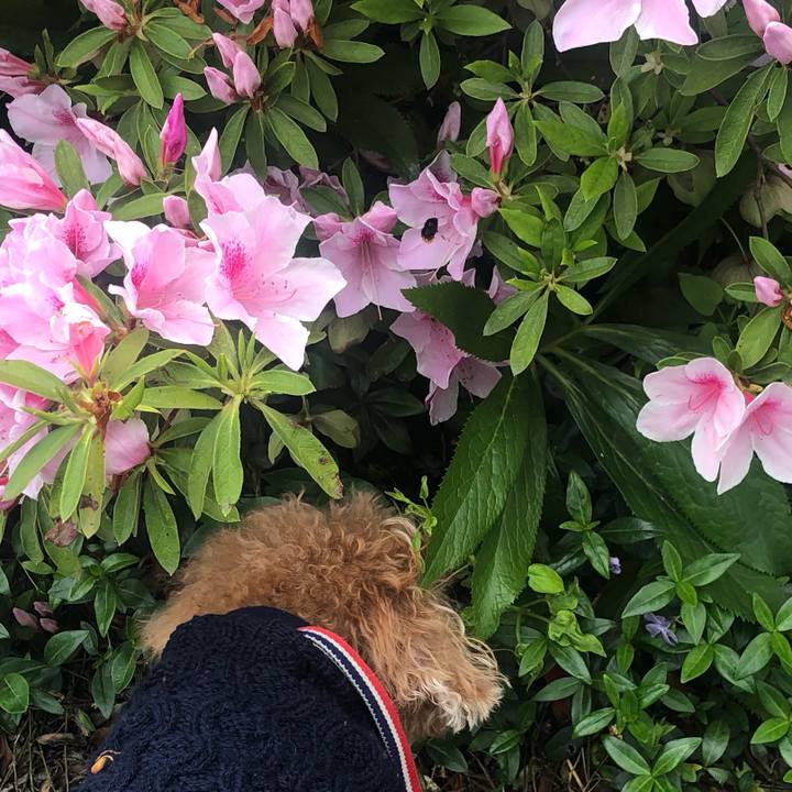 30b170e6 693e 46cb 90c8 428aa0ab9fc1 1652480904774