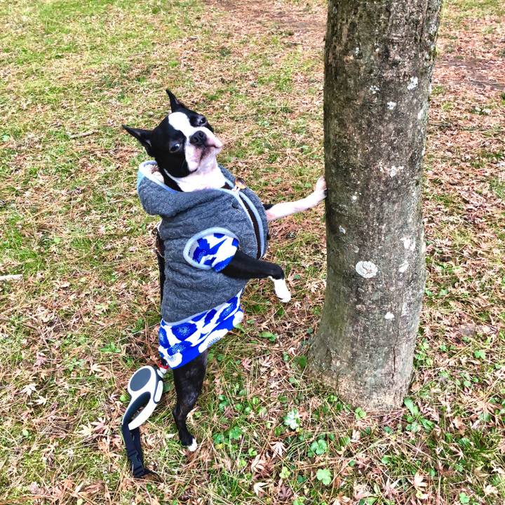 30b1715e e620 4032 b62f cc6d2fdfc26e 1515570200410