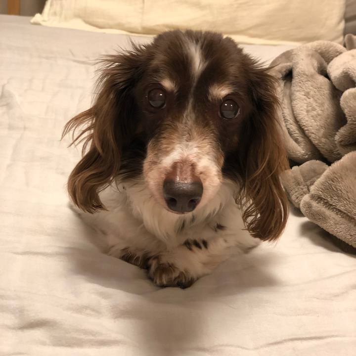 30b19a75 1b71 4597 b030 179f4d15d198 1557839874142