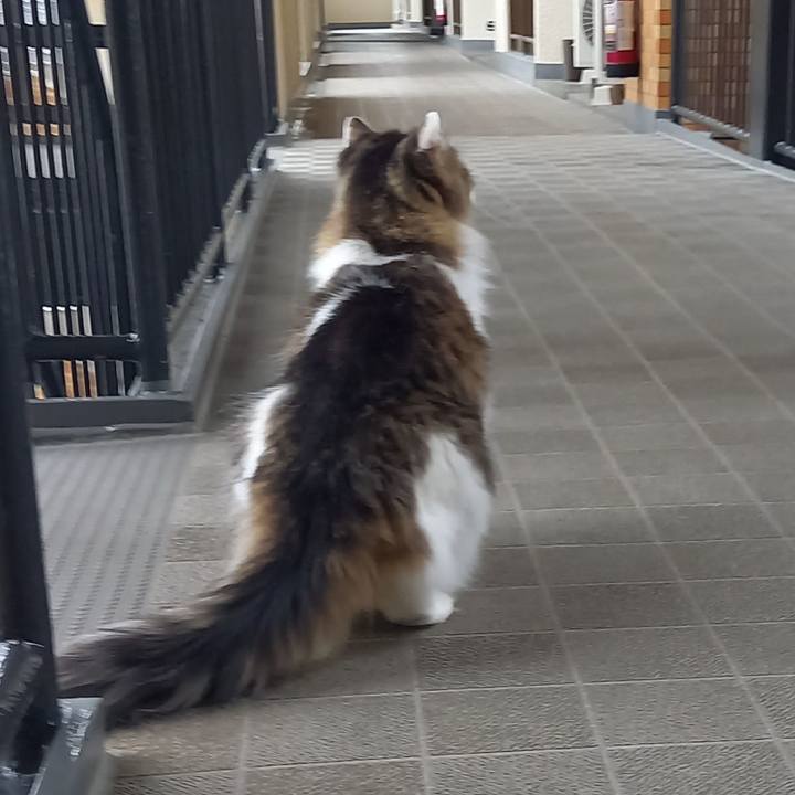 30b1ac0e 2ce8 4222 bd74 51ef35dde660 1670201835991