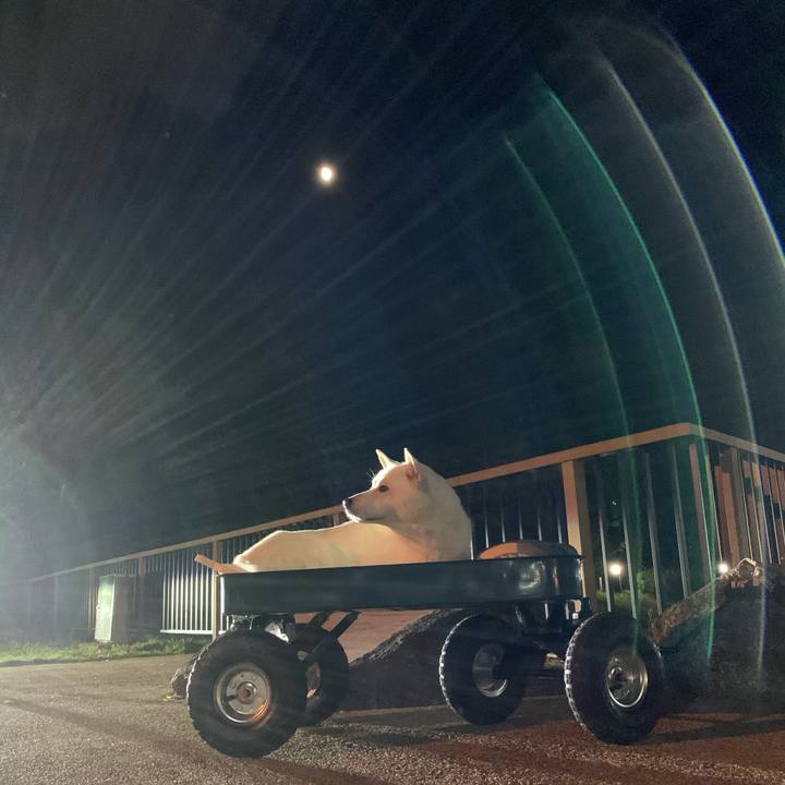 30b1cafb 0c91 49b8 972c fa7d0e0a7d08 1570711948247