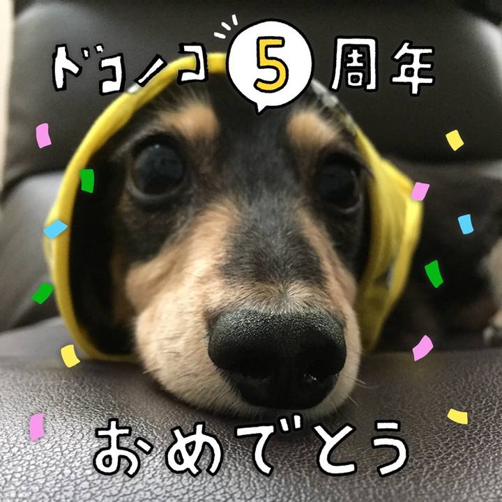 30b1d66e 13a3 477a be1f dd9c25394f1b 1622891988879