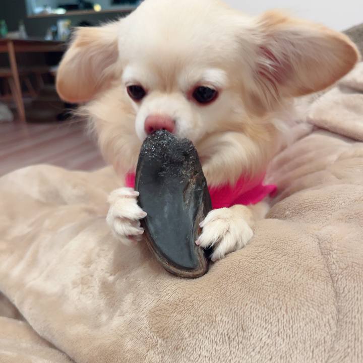 30b24ced 0c52 4160 b0f0 2c64f30faecf 1740133354113