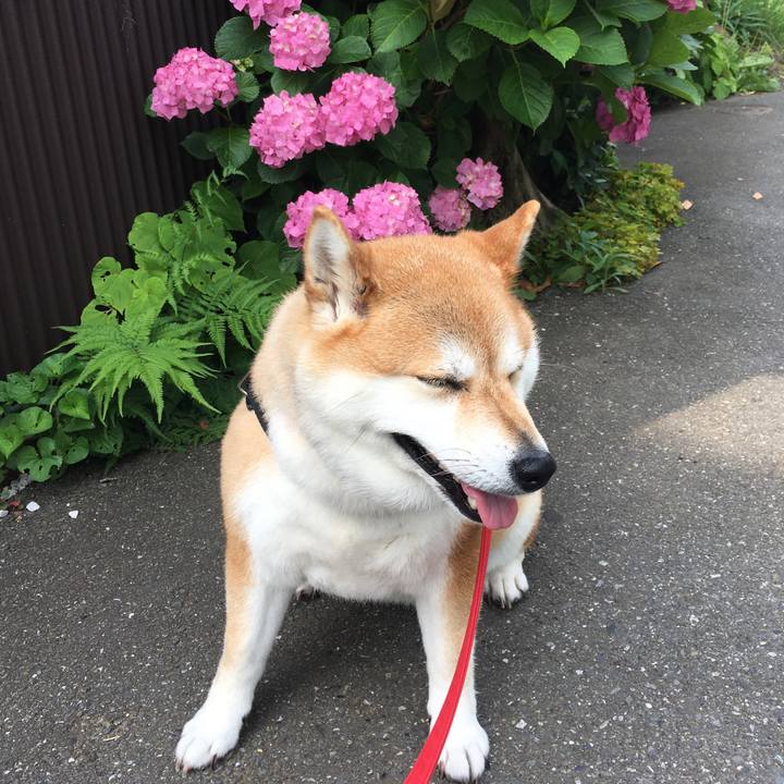 30b269d2 0880 4490 9dce b573349139e2 1591399975336