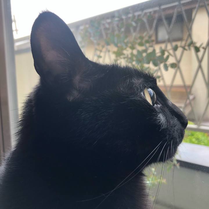 30b27a47 8835 40a8 af76 6f0e0487ddf8 1588116221493