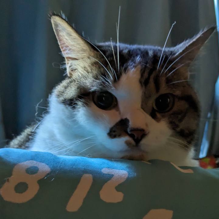 30b2d6c1 9762 4121 a826 175954be893f 1694296603615