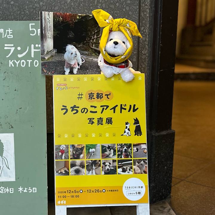 30b2d922 9f9a 47fb 8354 f2bdd3744224 1766217381343