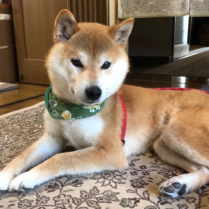 30b2f268 ab36 4a70 9ccc c5aae556f02b 1524903106700