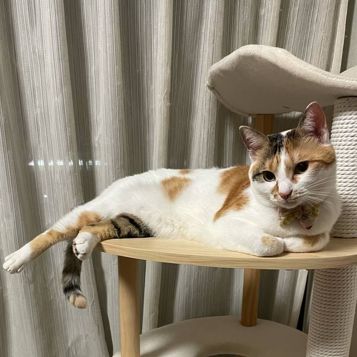 30b3338c d64d 4588 ad6d cdfca70357d1 1629038107022