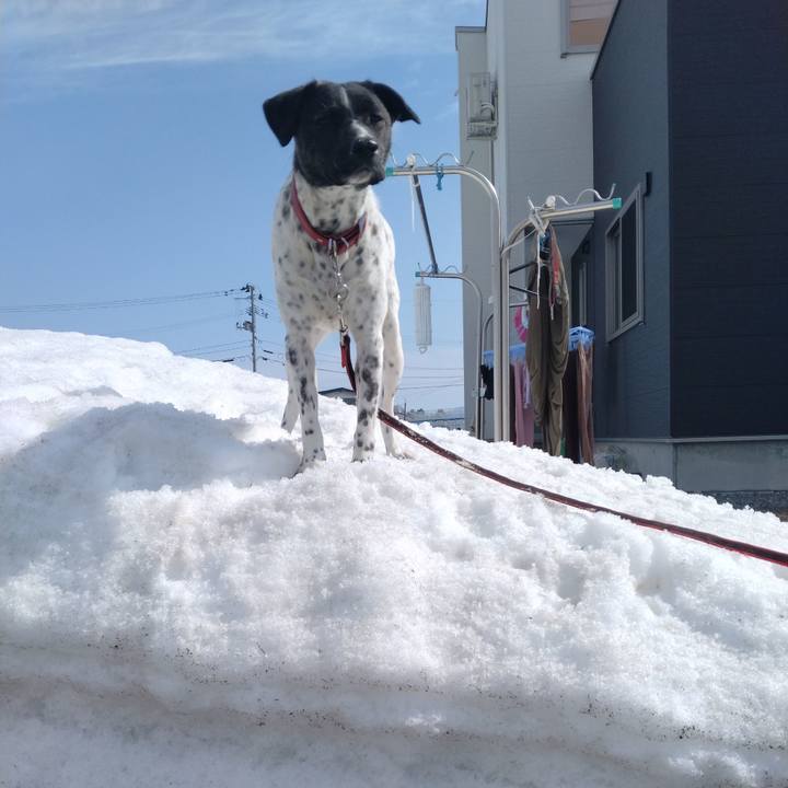 30b334d7 c18a 4131 8dff a6fe8006baa9 1678071953940