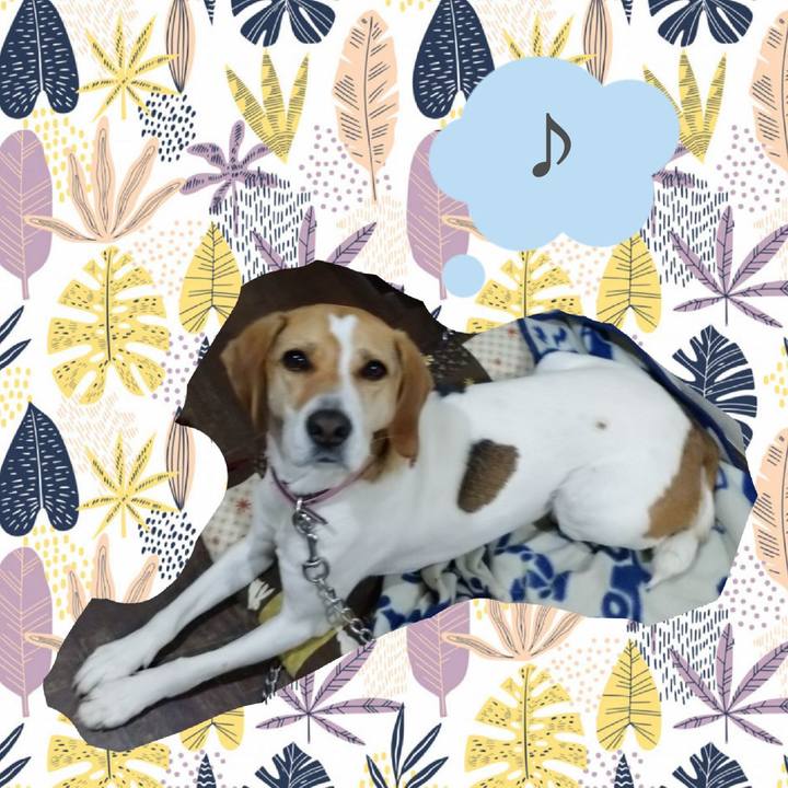 30b377f6 e928 462b b6ae 4576ebb4d018 1586946814160