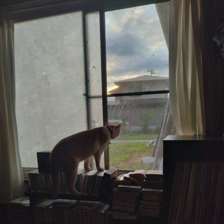 30b38416 0d74 417c b846 6856fbbe6e31 1752270371629