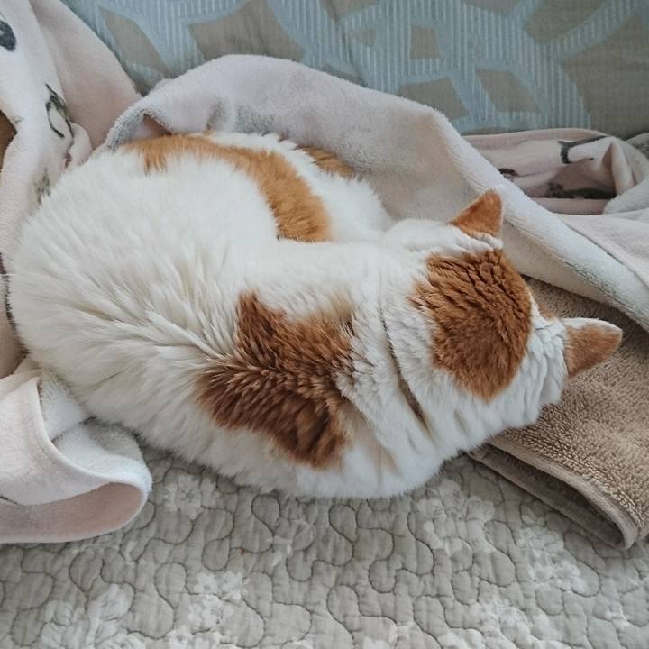 30b39864 6ef4 4737 80c4 1bf97827c660 1566094743437