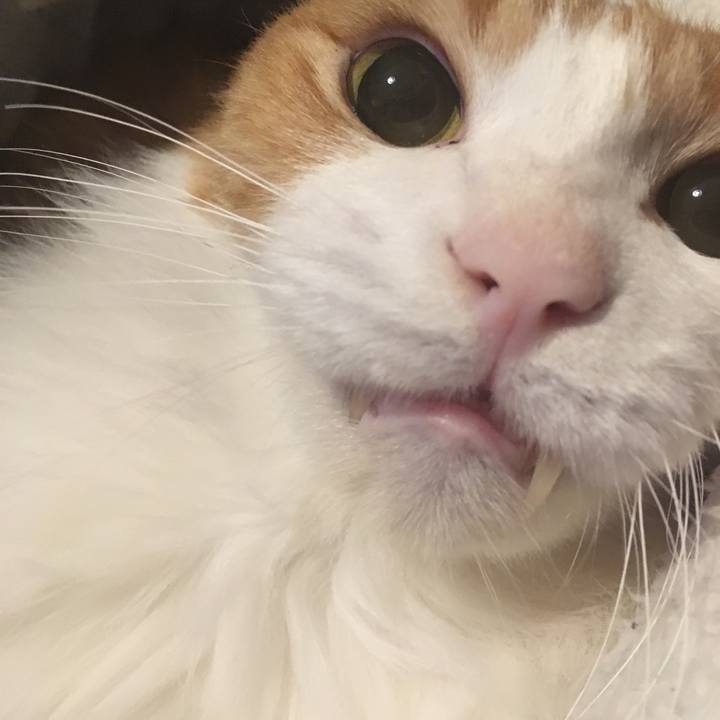 30b39c27 af41 4819 8408 6b37c166f41f 1577397487025