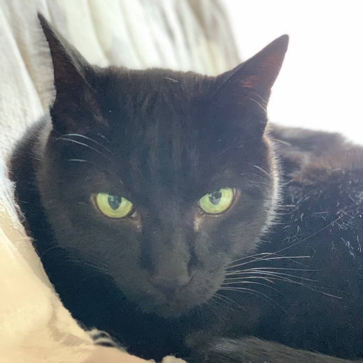 30b3aa92 5c31 4ed1 801e ce1399809f59 1580086873700