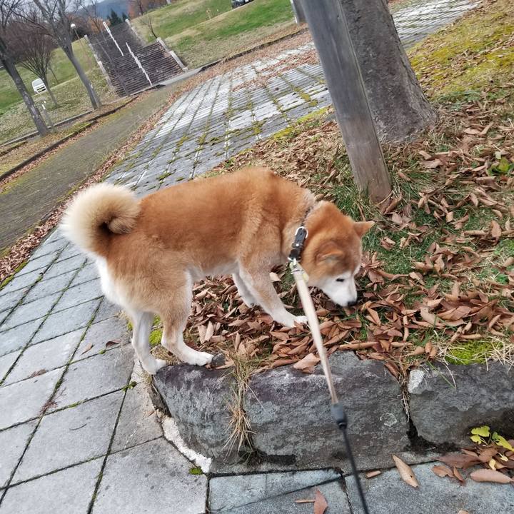 30b3acde 05d5 4cee 9554 8fb82723091e 1669101751890