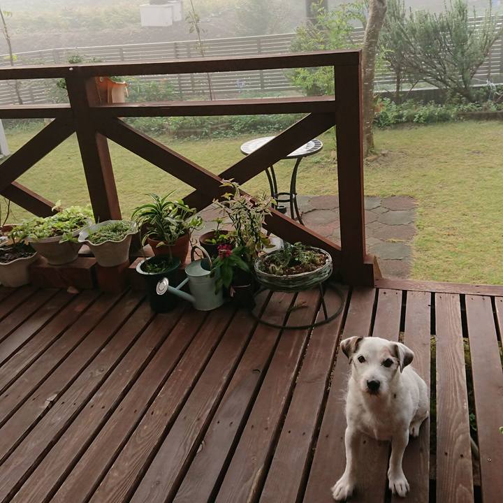 30b3aefd a85c 4c7d 88e0 7da5f7875009 1572391423442