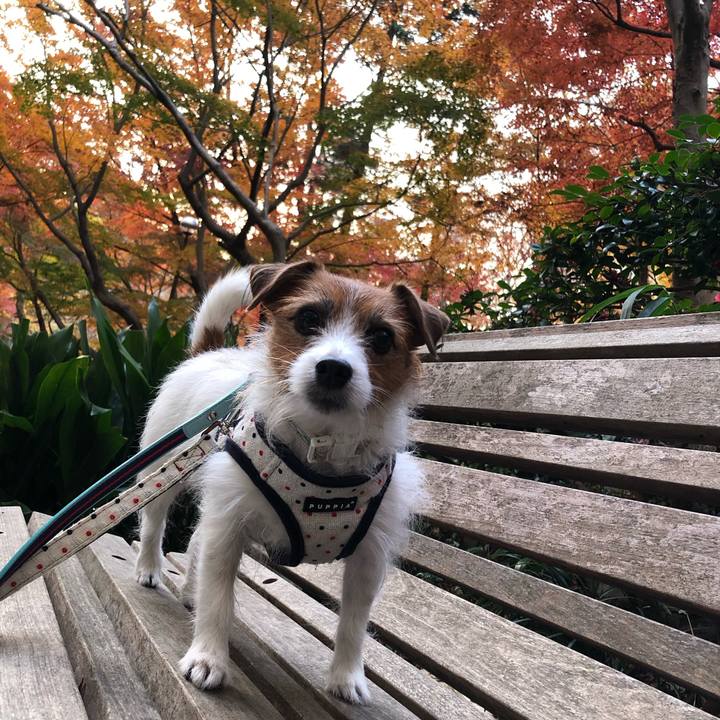 30b3be11 25ac 4c02 b552 094f0a3d81b3 1607856118195