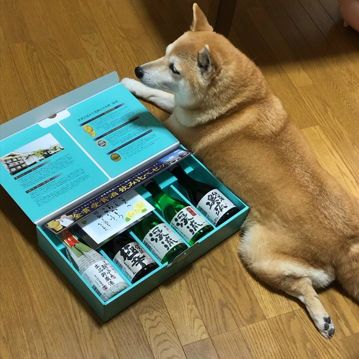 30b3c734 01e3 46a6 a8a8 0a802ebc1c47 1592662472060