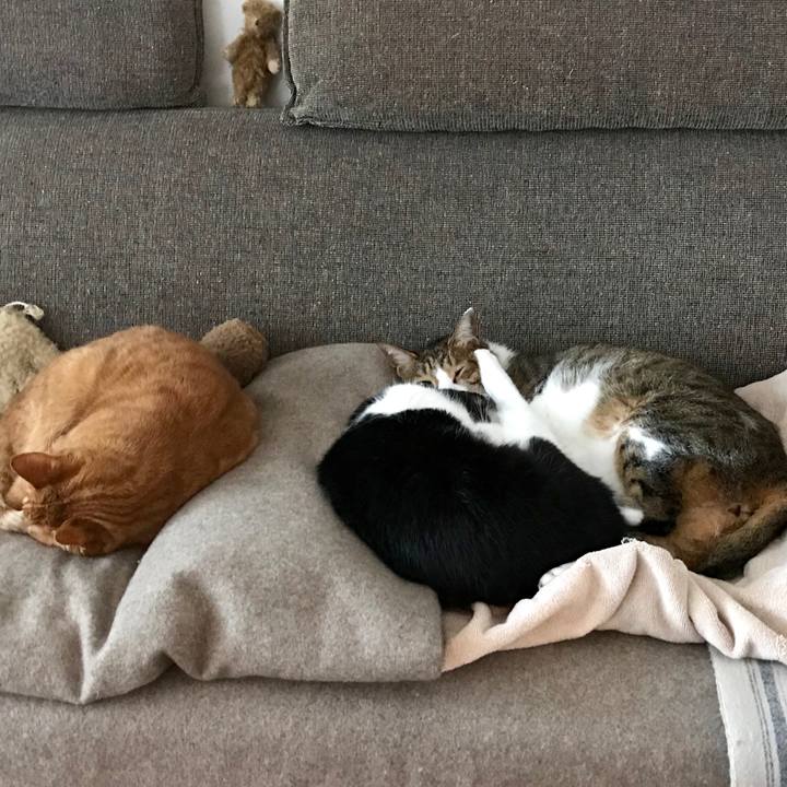 30b4109e f427 4acc 8927 f86da9ed2ee2 1514435836750